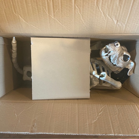 Grandin Road Shadow the Skeleton Dog on Leash large - Picture 7 of 9